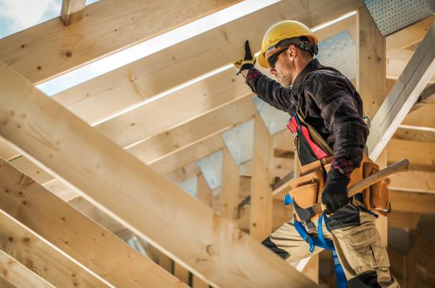 Best Gutter Installation and Roofing  in Shackle Island, TN