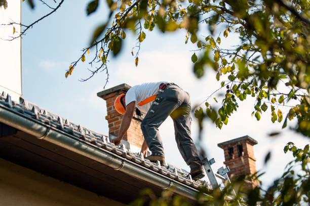 Best Commercial Roofing Services  in Shackle Island, TN