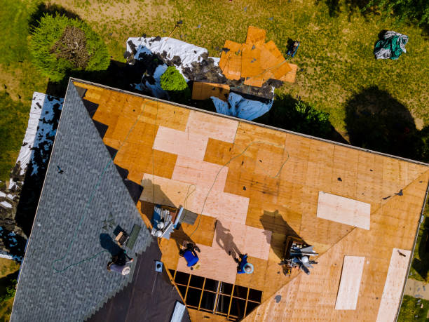 Best Best Roofing Contractors  in Shackle Island, TN
