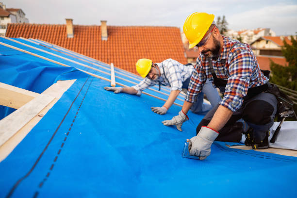 Professional Roofing Contractor in Shackle Island, TN