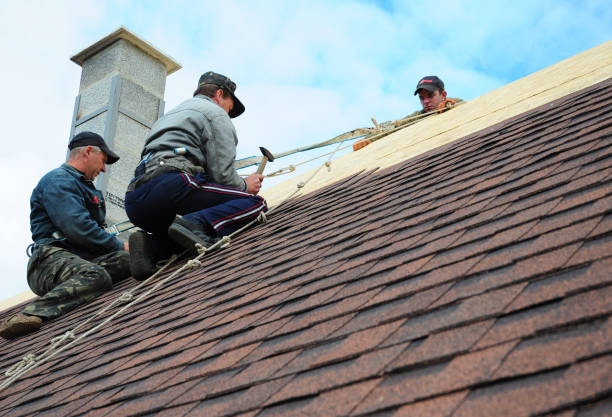 Best Roof Repair Services  in Shackle Island, TN