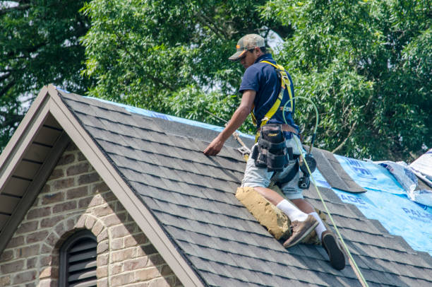 Gutter Installation and Roofing in Shackle Island, TN